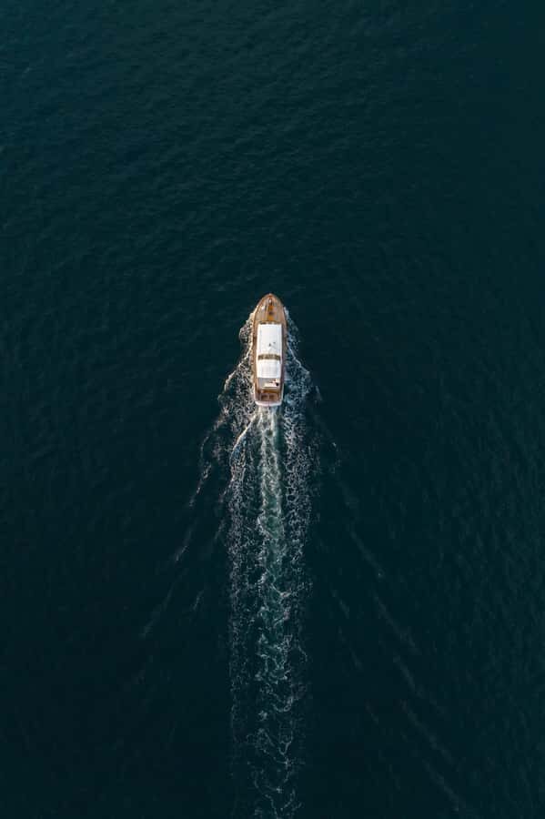 Sunshine Coast: Vintage Boat Tour with Wildlife Viewing - The Sum Up