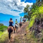 Sunshine Mountain Vista Horseback Trail Ride on Oahu - What Sets This Experience Apart?