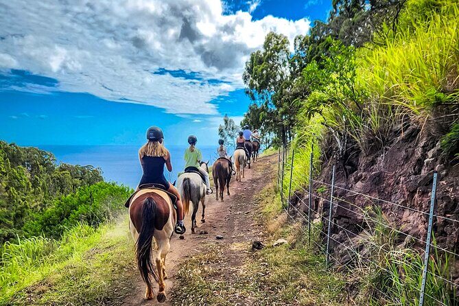 Sunshine Mountain Vista Horseback Trail Ride on Oahu - What Sets This Experience Apart?