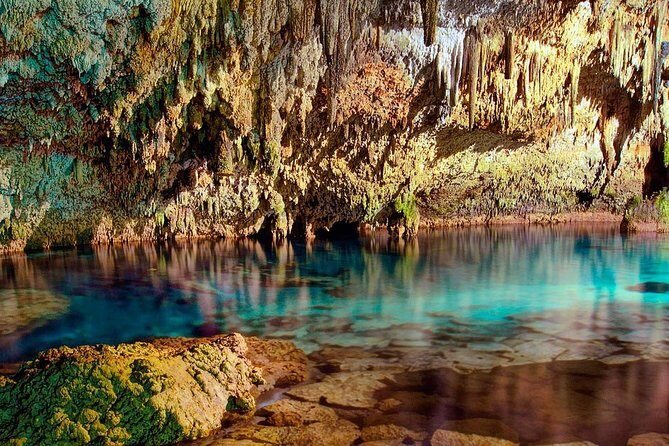 Swim in the beautiful Yalku & Cenote, includes transport & guide - Why This Tour Stands Out