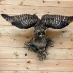 Tablet Tour in Wildlife Gallery - A Close Look at the Experience