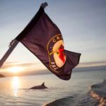 Tadoussac/Charlevoix: Whale & Fjord Morning or Twilight Tour - Final Thoughts on Value and Experience