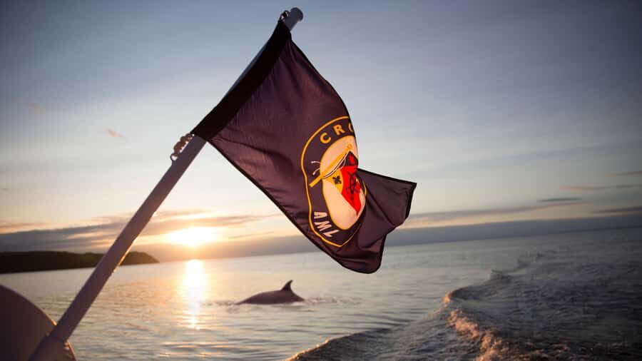 Tadoussac/Charlevoix: Whale & Fjord Morning or Twilight Tour - Final Thoughts on Value and Experience