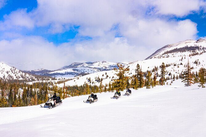 Tahoe Summit Snowmobiling Tours - What to Expect During the Experience