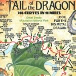 Tail of the Dragon Slingshot Adventure - The Road to Adventure: A Detailed Breakdown