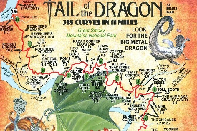 Tail of the Dragon Slingshot Adventure - The Road to Adventure: A Detailed Breakdown