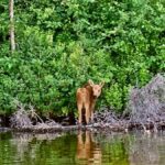 Talkeetna Lakes Park: Sit-On-Top Kayak Tour - Final Thoughts
