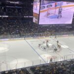 Tampa Bay Lightning Ice Hockey Game at Amalie Arena - Final Thoughts: Is It Worth It?