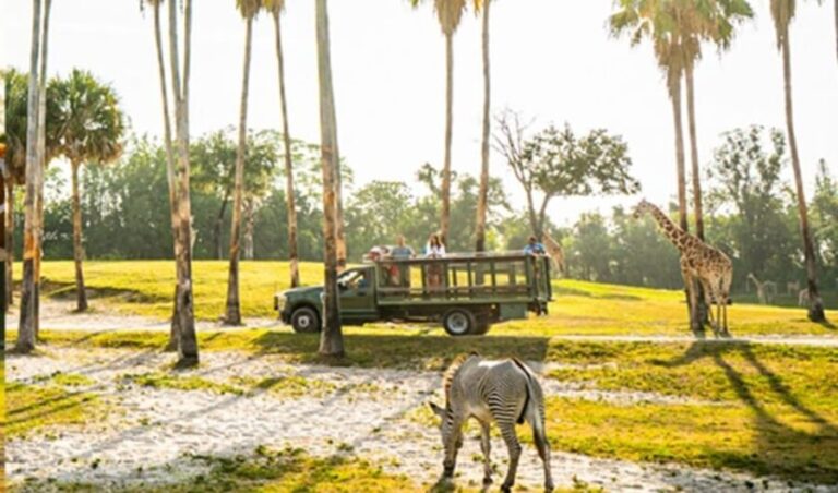 Tampa Bay: Serengeti Safari Tour - Final Thoughts on the Serengeti Safari Tour in Tampa