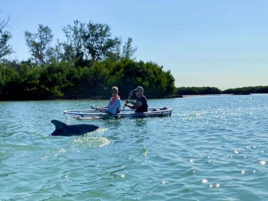 Tampa Bay: Shell Key Preserve Clear Kayak Tour - What to Expect: From Paddling to Wildlife Watching
