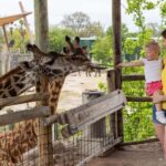 Tampa: ZooTampa at Lowry Park Ticket with Holiday Option - Who Will Love This Experience?