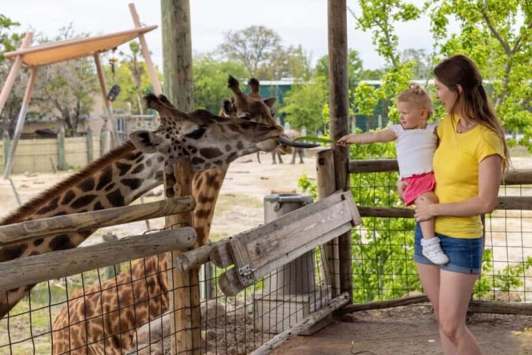 Tampa: ZooTampa at Lowry Park Ticket with Holiday Option - Who Will Love This Experience?