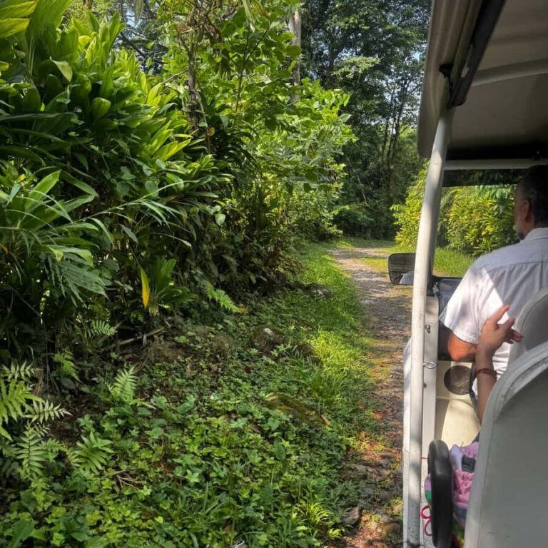 Tapachula: Argovia Coffee, Flowers, and Legacy Tour - FAQs