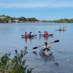 Tarpon Springs: Clear Kayak Eco-Tour with Manatee Viewing - An In-Depth Look at the Tarpon Springs Eco-Kayak Tour