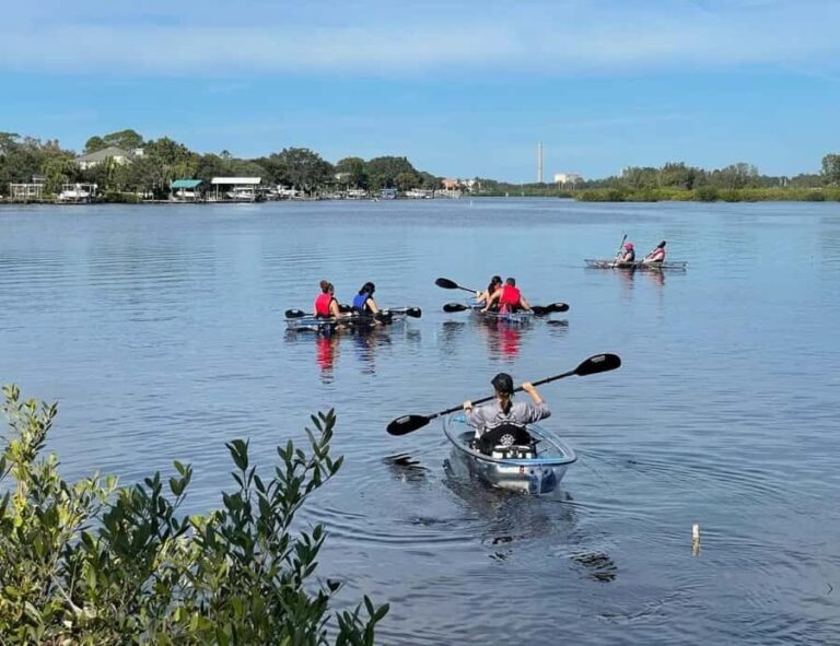 Tarpon Springs: Clear Kayak Eco-Tour with Manatee Viewing - An In-Depth Look at the Tarpon Springs Eco-Kayak Tour