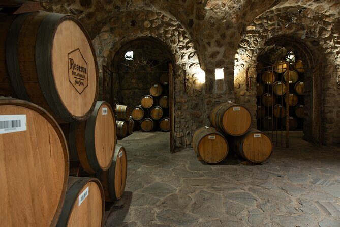 Tasted Chocolate - A Deep Dive into the Tasted Chocolate Experience