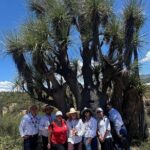 Tehucan Day Tour and Biosphere Reserve - The Sum Up: Is This Tour Worth It?