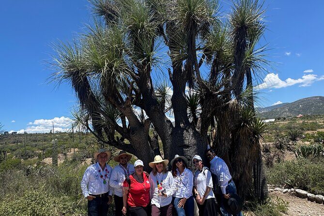 Tehucan Day Tour and Biosphere Reserve - The Sum Up: Is This Tour Worth It?