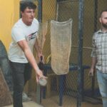 Tejo and Craft Beer Tour in Bogota - Why This Tour Works Well