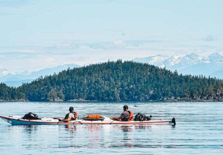 Telegraph Cove: 2-Hour Day or Evening Kayaking Tour - An In-Depth Look at the Telegraph Cove Kayaking Tour