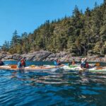 Telegraph Cove: Full-Day Trip Kayaking Tour - Why This Tour Stands Out