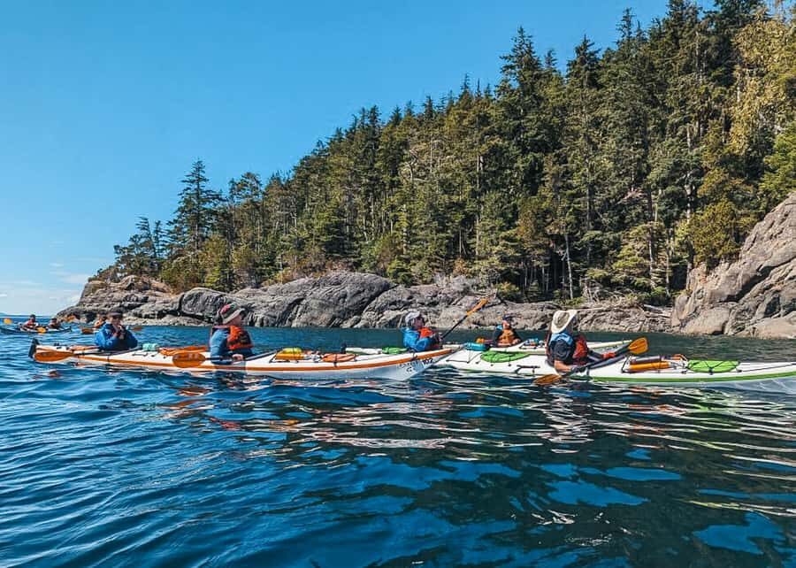 Telegraph Cove: Full-Day Trip Kayaking Tour - Why This Tour Stands Out