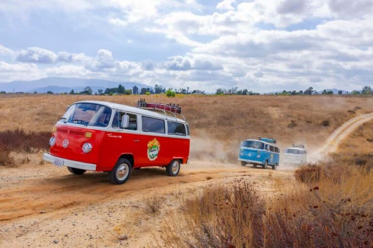 Temecula: VW Bus Wine Tour with Tastings - What to Expect at Each Winery