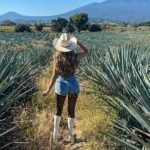 Tequila Express Tour from Guadalajara - Why This Tour Works Well