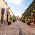 Tequila Full-Day Discovery Private Tour of Amatitan - Who Will Love This Tour?