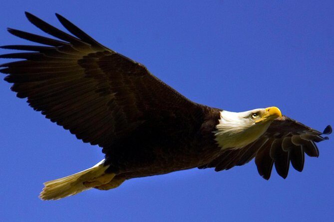 Teton Views Scenic Float Trip - In-Depth Review of the Teton Views Scenic Float Trip