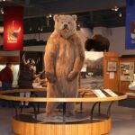The Best of Fairbanks: Half-Day City Highlights Tour - Final Thoughts