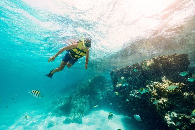 The best Speed Boat and Snorkeling in Cancun "Jungle Tour Adventure " - The Speedboat Ride: Thrills and Views