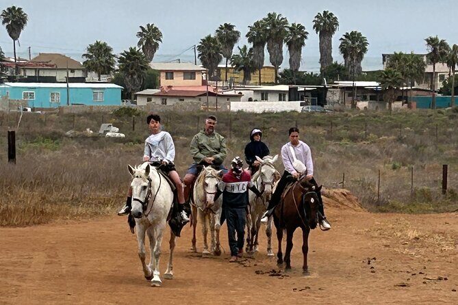 The Bufadora Tour and Horseback Riding - FAQs