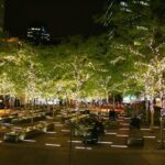 The Dark Christmas Tour (Lower Manhattan) - Value and Who Should Consider This Tour