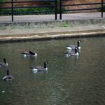 The Greenville Ghost Hunt 2 Hour Walking Tour - What the Tour Offers