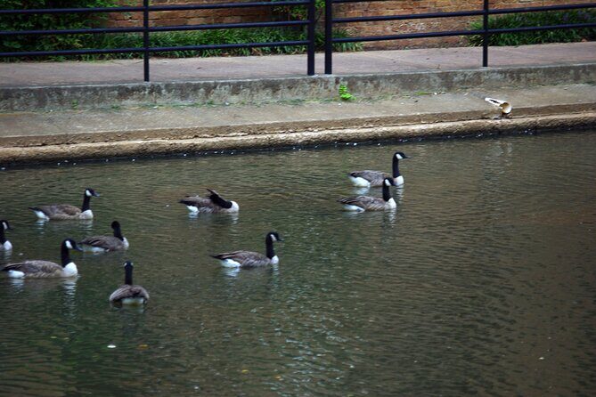 The Greenville Ghost Hunt 2 Hour Walking Tour - What the Tour Offers