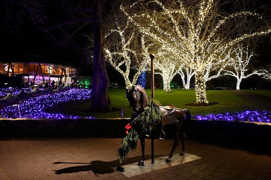 The Magic of Christmas at the Butchart Gardens - Final Thoughts