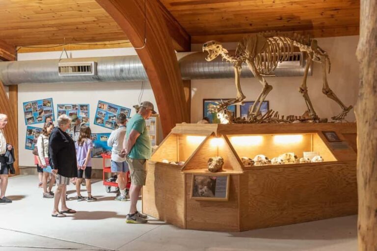 The Mammoth Site of Hot Springs General Admission Ticket - Additional Practical Details