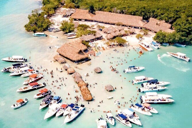 The ORIGINAL Rosario Islands Tour on Catamaran or Speedboat - Who Should Book This Tour?