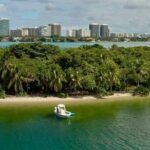 The Ultimate 4-Hour Miami Charter: Exclusive Views & Tropical Fun - Final thoughts