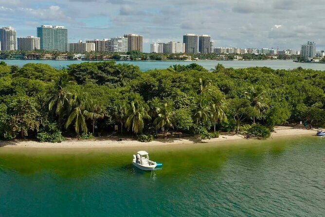 The Ultimate 4-Hour Miami Charter: Exclusive Views & Tropical Fun - Final thoughts