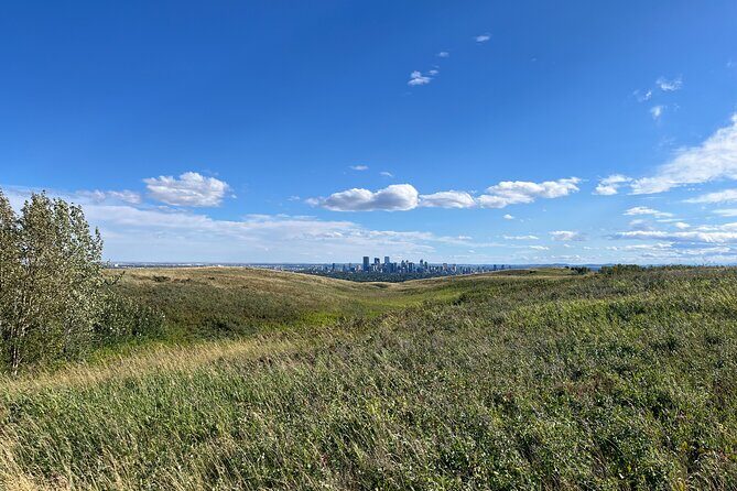 The Urban Wild Calgary Nature Loop Private Tour - Final Thoughts: Who Should Consider This Experience?