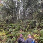 The Vancouver Summit Walk - Who Would Love This Experience?