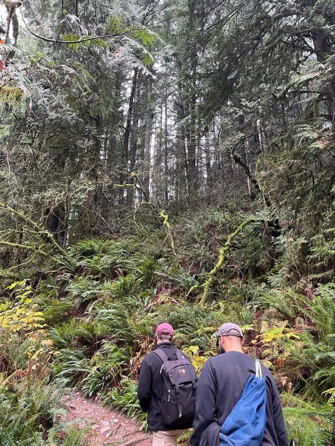 The Vancouver Summit Walk - Who Would Love This Experience?