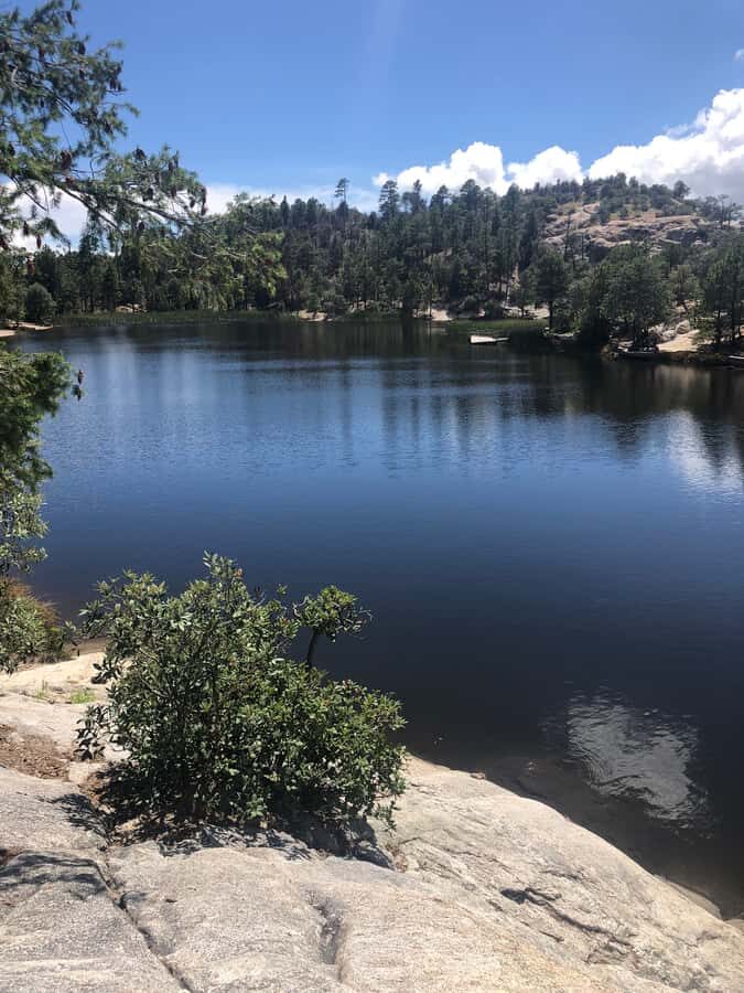 This guid tour lets the customers experience 4 bio zones. - Practical Details and Value