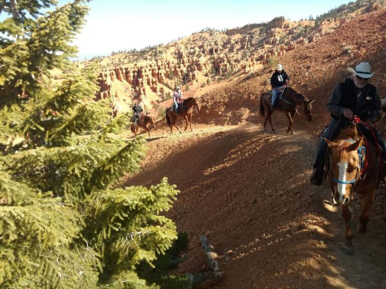 Thunder Mountain Trail: Scenic Horseback Ride - Final thoughts