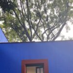 Tickets for Frida Kahlo Casa Azul Museum - Who Will Enjoy This Tour?