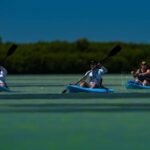 Tierra Verde: Kayak Tour at Shell Key with Capt Yak - An In-Depth Look at the Shell Key Kayak Tour