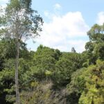 Tikal VIP Exclusive All Inclusive Tour from Belize Border - Why This Tour Works Well