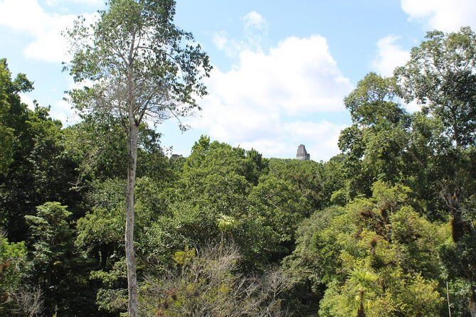 Tikal VIP Exclusive All Inclusive Tour from Belize Border - Why This Tour Works Well